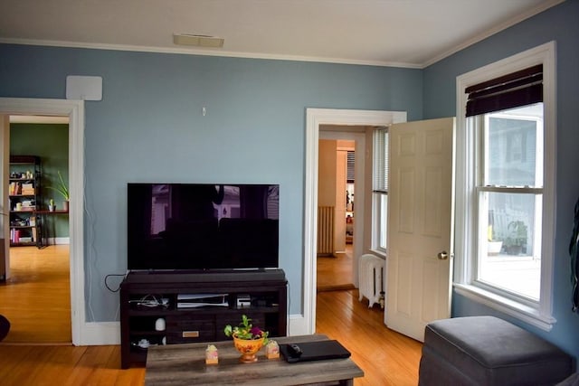 living area with crown molding, radiator, wood finished floors, and plenty of natural light