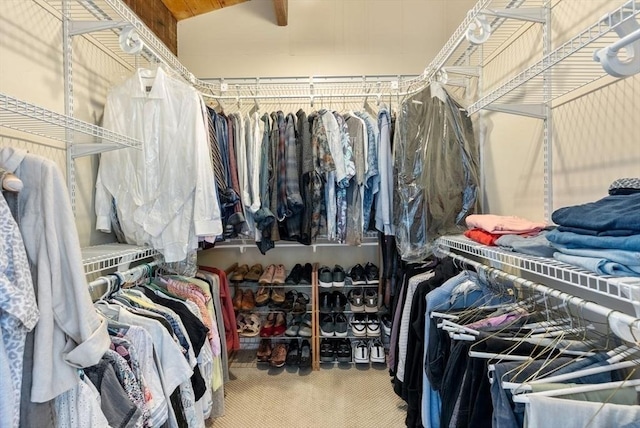 walk in closet with carpet floors