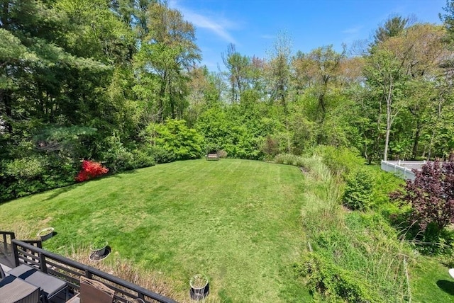 view of grassy yard