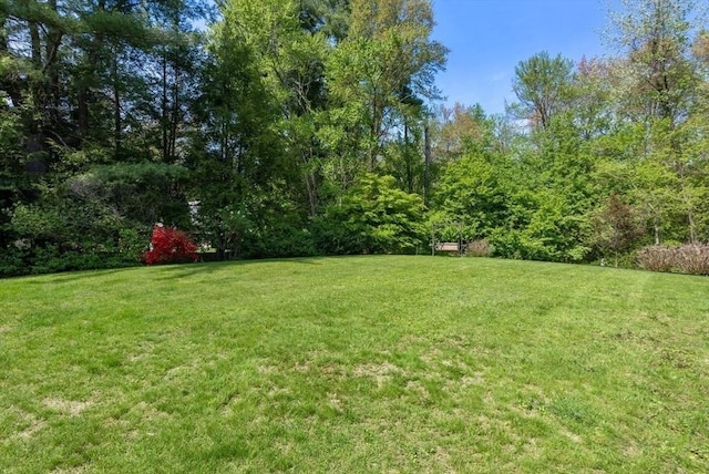 view of green lawn