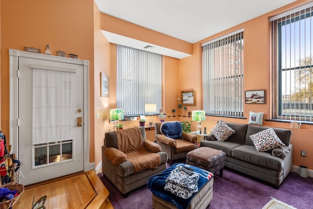 living room with wood-type flooring