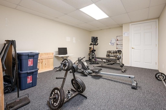 10 Tobin Dr, Dudley, MA 01571 - exercise area featuring a paneled ceiling and carpet flooring