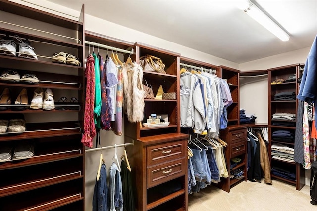 225 Salem Rd, Dracut, MA 01826 - walk in closet featuring light carpet