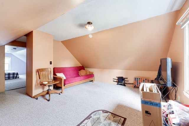 719 College Hwy, Southwick, MA 01077 - living area featuring carpet floors and vaulted ceiling