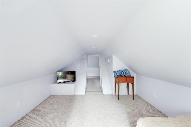 719 College Hwy, Southwick, MA 01077 - additional living space with lofted ceiling and carpet floors