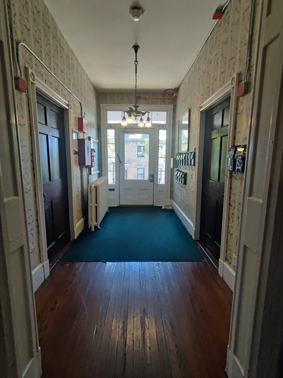 doorway to outside featuring dark wood-style floors, wallpapered walls, a notable chandelier, and radiator