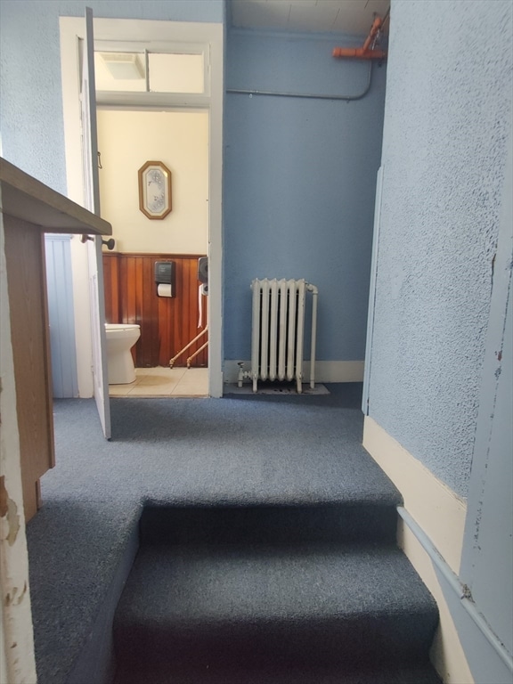 stairway featuring carpet flooring and radiator