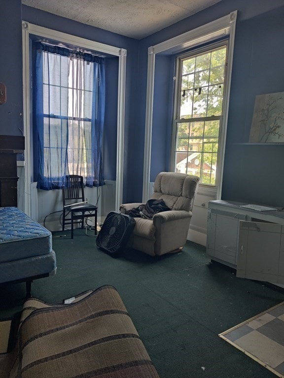 living room featuring carpet and a textured ceiling