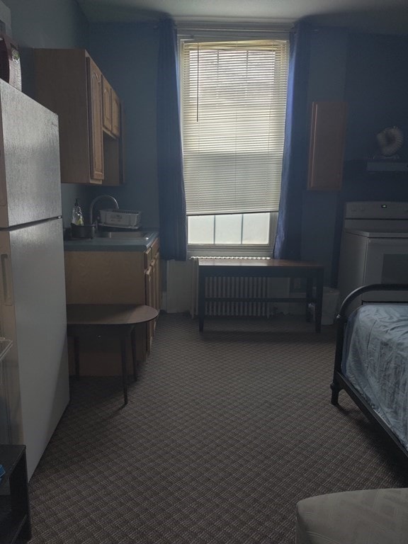 carpeted bedroom featuring sink, multiple windows, white fridge, and radiator heating unit