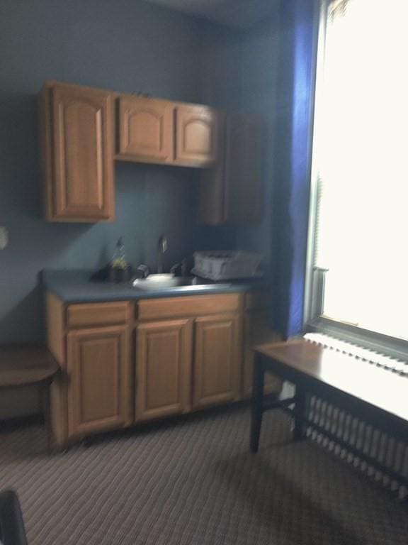 kitchen with radiator heating unit, dark carpet, and a sink