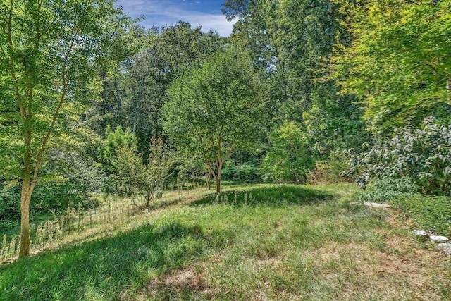 2 Clover Hill Rd, Acton, MA 01720 - view of tree filled area