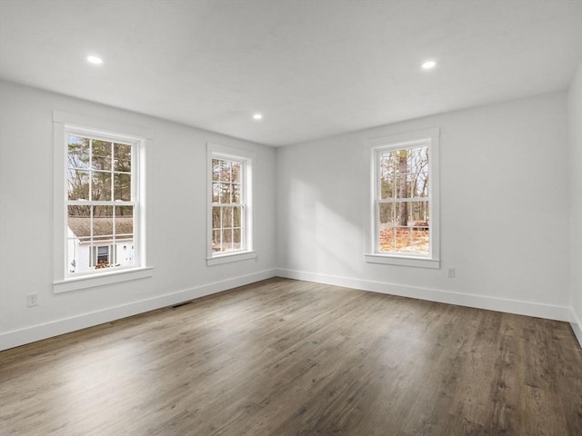 empty room featuring plenty of natural light and wood-type flooring