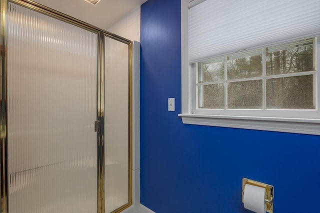 bathroom with a shower stall