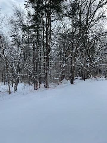 view of yard layered in snow