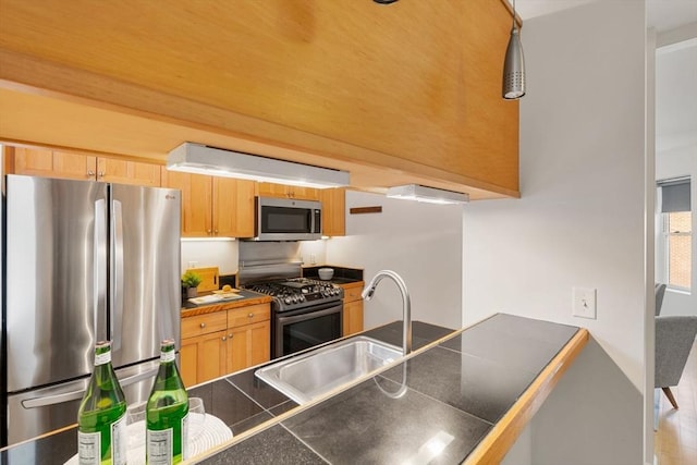 kitchen with sink, stainless steel appliances, and light brown cabinets