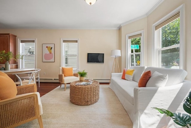 297 Cardinal Medeiros Ave Unit 1, Cambridge, MA 02141 - living area featuring wood finished floors, crown molding, and a baseboard heating unit