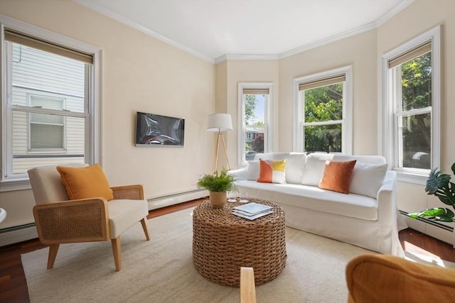 297 Cardinal Medeiros Ave Unit 1, Cambridge, MA 02141 - living area featuring baseboard heating, ornamental molding, and wood finished floors