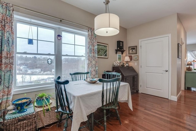 dining space featuring plenty of natural light and dark hardwood / wood-style floors