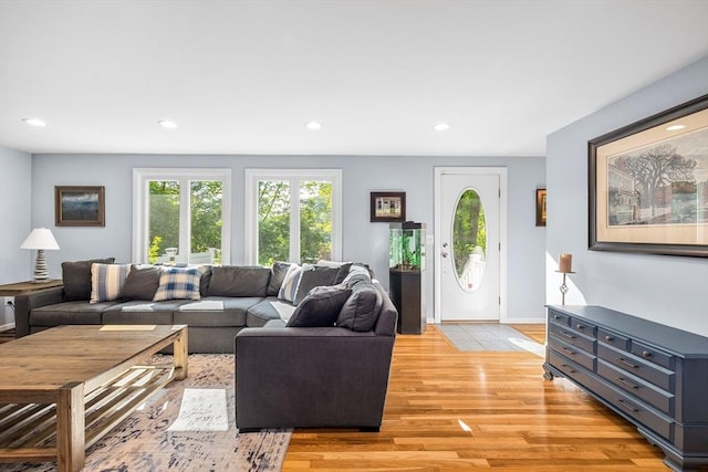 61 Northbridge Rd, Mendon, MA 01756 - living area featuring light wood finished floors, recessed lighting, and baseboards