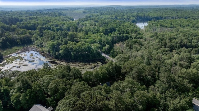 61 Northbridge Rd, Mendon, MA 01756 - view of property location featuring a forest