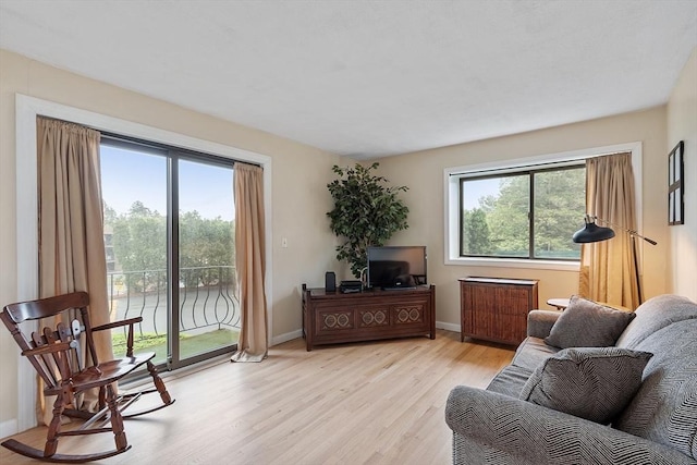 5 Thomas St Unit P17, Saugus, MA 01906 - living area with light wood finished floors and radiator