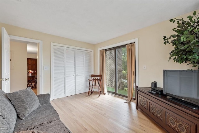 5 Thomas St Unit P17, Saugus, MA 01906 - living room featuring light wood-type flooring