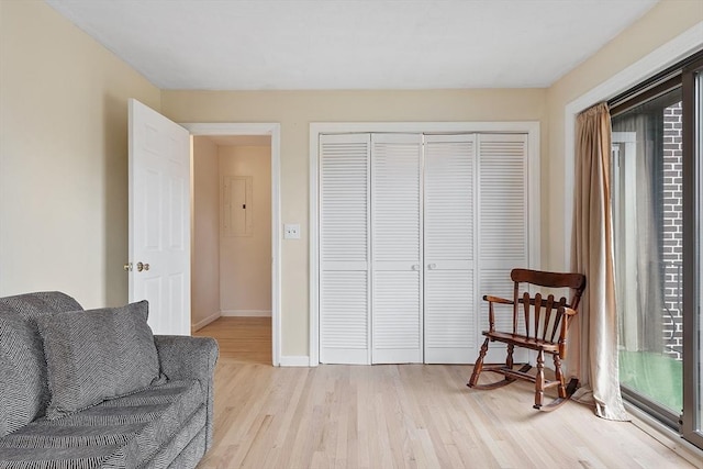 5 Thomas St Unit P17, Saugus, MA 01906 - living area featuring light wood-style flooring and baseboards