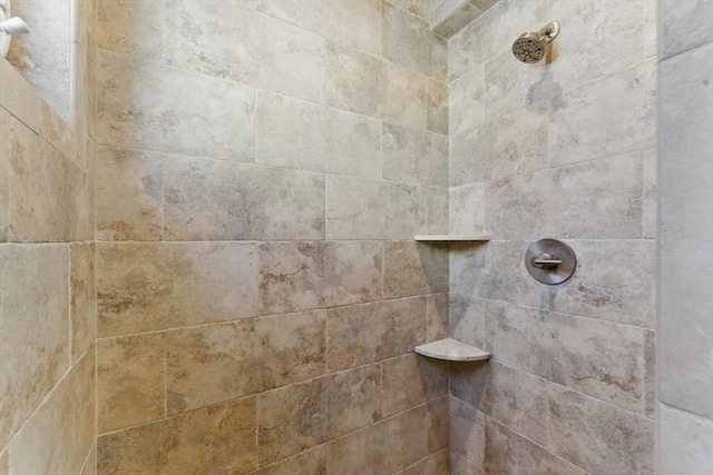 bathroom view of tiled shower
