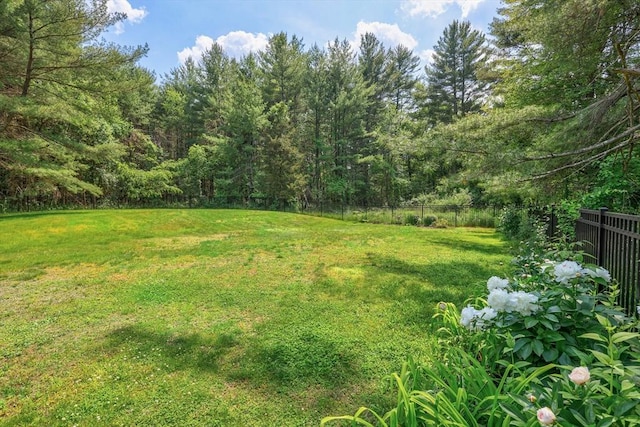 128 Clinton St, Hopkinton, MA 01748 - view of yard with a wooded view