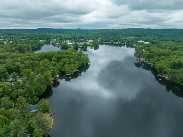 22 Mountain Brook Rd, Sturbridge, MA 01566 - drone / aerial view of a heavily wooded area and a large body of water