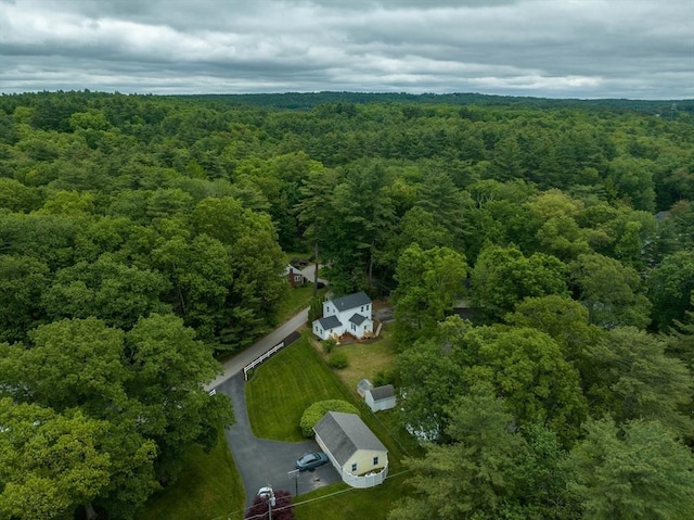22 Mountain Brook Rd, Sturbridge, MA 01566 - drone / aerial view of a forest
