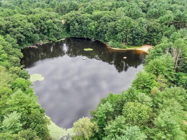 drone / aerial view with a water view