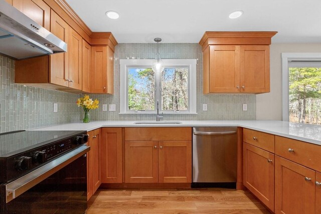 30 Grannys Ln, Orleans, MA 02653 - kitchen with range with electric stovetop, dishwasher, range hood, a sink, and light wood-type flooring