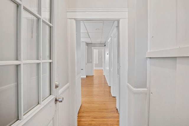 hall featuring a drop ceiling and light wood-type flooring