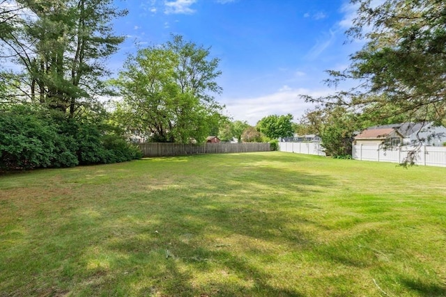 3 Biggar Ave, Wilmington, MA 01887 - view of yard