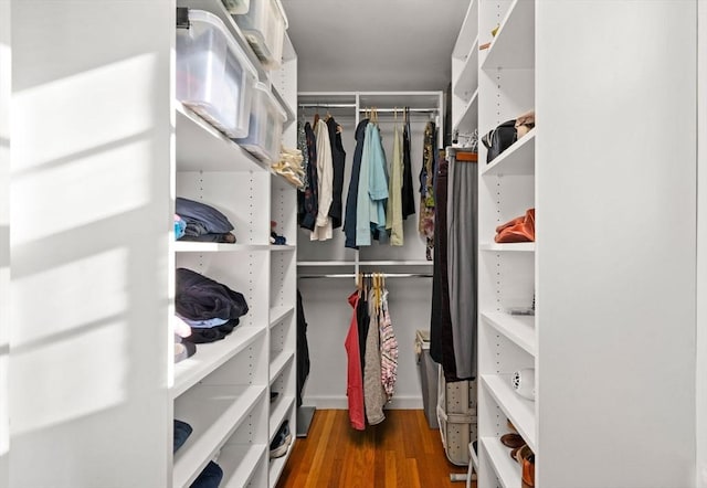 walk in closet with wood finished floors