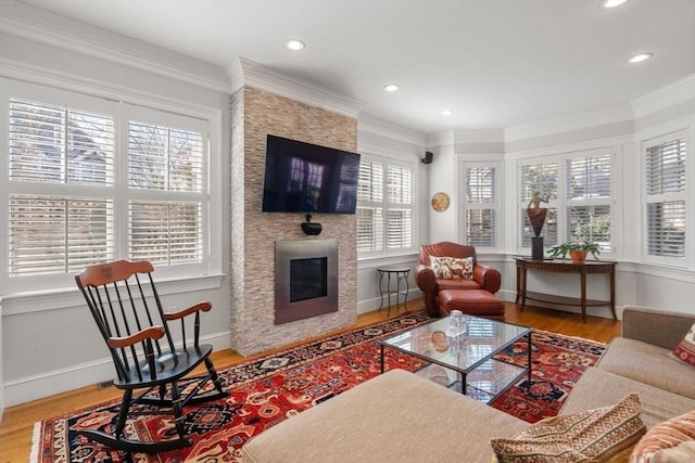 living room with baseboards, a large fireplace, wood finished floors, and ornamental molding