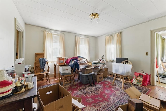 394 River Dr, Hadley, MA 01035 - view of living area