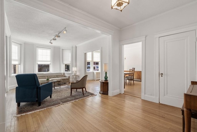 living room with crown molding, light hardwood / wood-style floors, and a textured ceiling