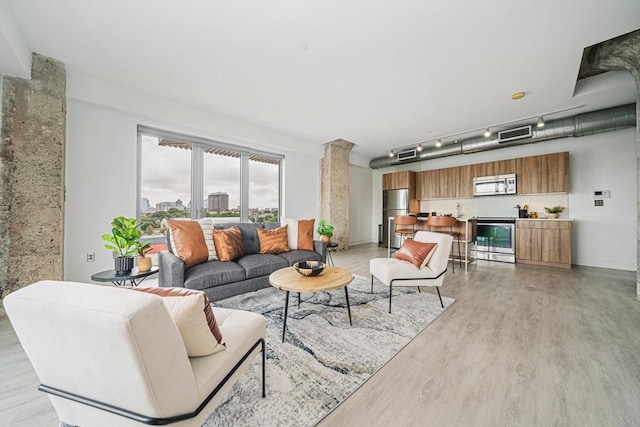 living room with light wood-type flooring and track lighting