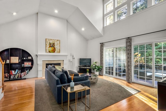 living room featuring high vaulted ceiling, light hardwood / wood-style floors, and a fireplace