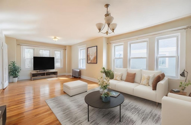 living room with radiator heating unit, light wood-type flooring, a chandelier, and a healthy amount of sunlight