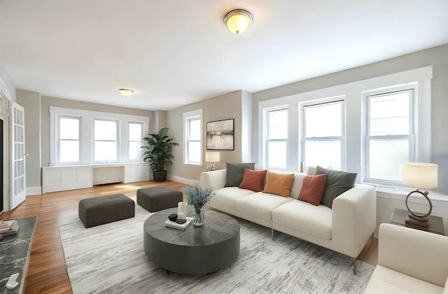 living area featuring baseboards and wood finished floors