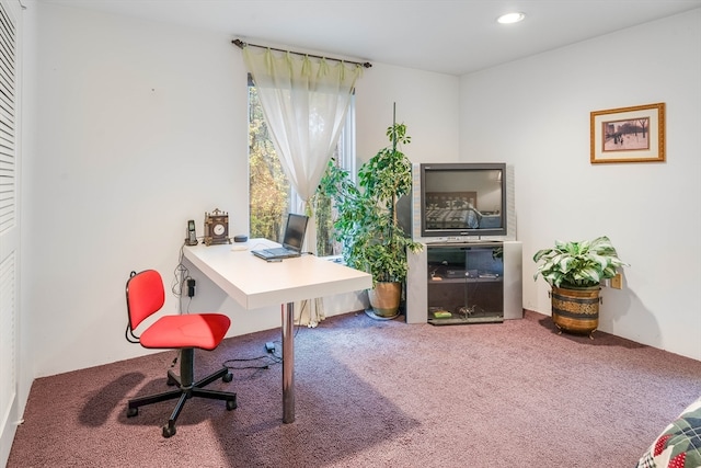 view of carpeted office