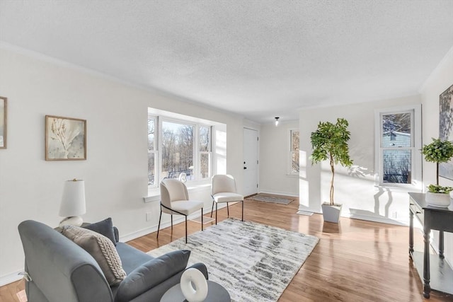 living room with a textured ceiling and light hardwood / wood-style flooring