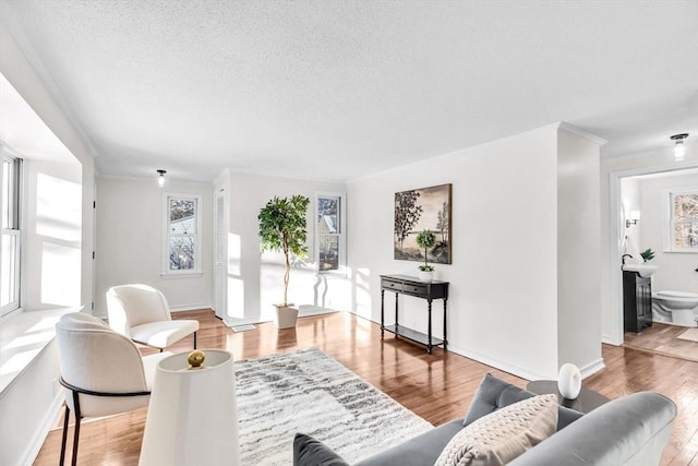 living room featuring crown molding and wood-type flooring