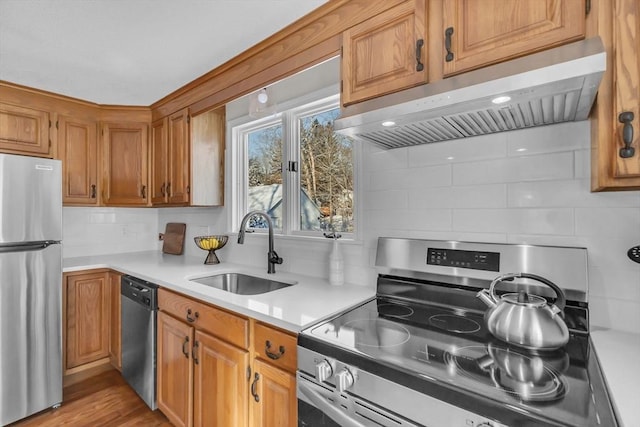 kitchen with exhaust hood, sink, light hardwood / wood-style flooring, backsplash, and stainless steel appliances