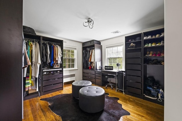 walk in closet featuring radiator, visible vents, and wood finished floors