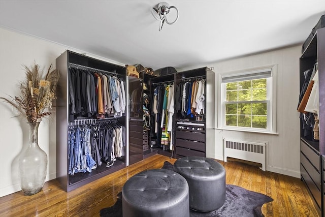 spacious closet with radiator heating unit and wood finished floors