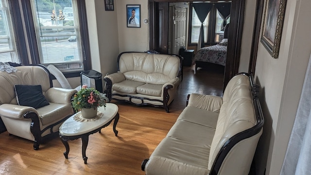 living room with wood-type flooring